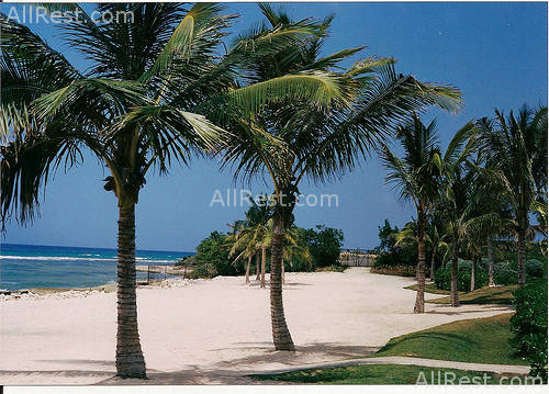 Ritz-Carlton Golf & Spa Resort 84